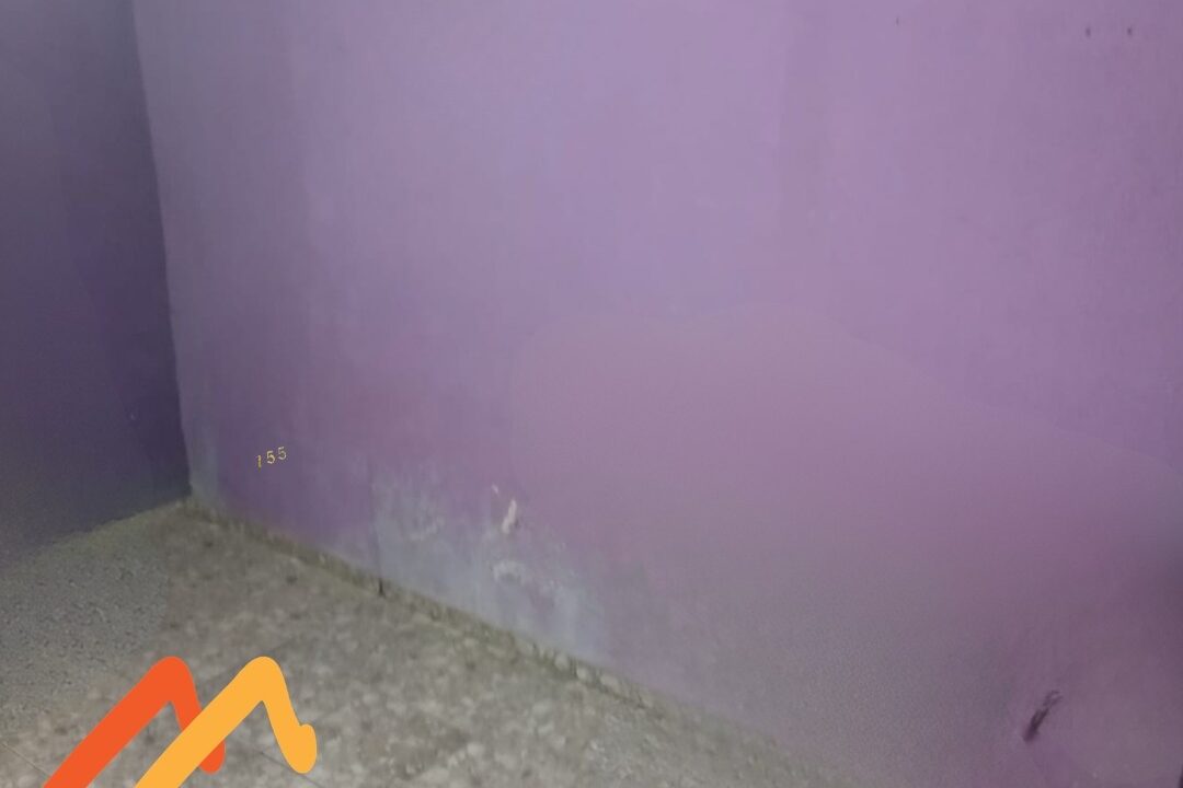 WhatsApp Image 2026-07-27 at 17.32.19